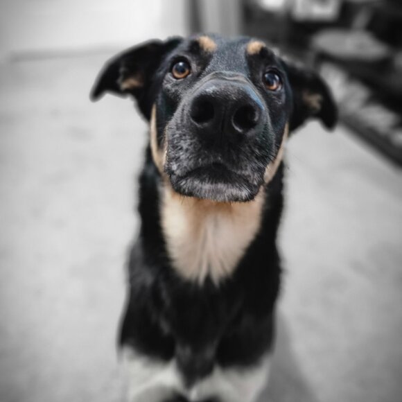 Come and chill with us!! - Picture 3 of 8